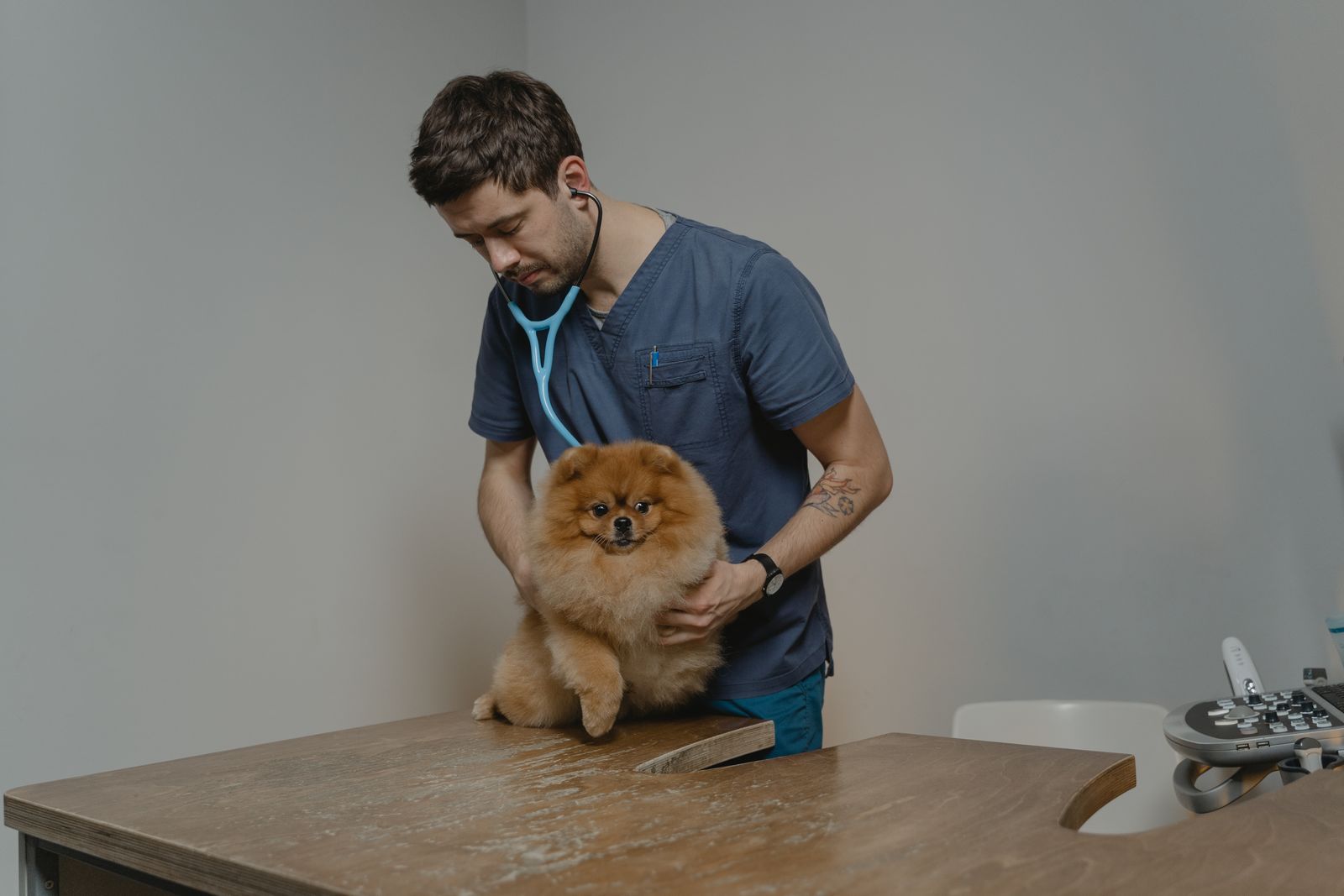 Veterinário examinando cão com estetoscópio, com o animal tranquilo, em ambiente clínico claro e acolhedor